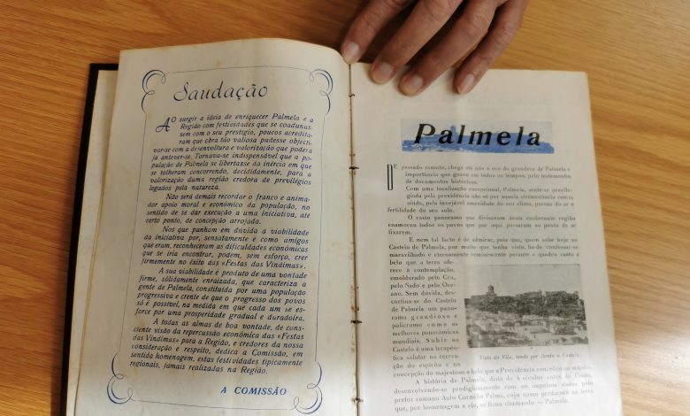 livro das vindimas